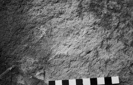 NMSA 03 8298P
