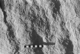 NMSA 03 5230P