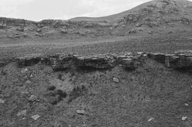 NMSA 03 6196P