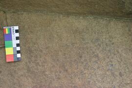 NMSA RSA CLB1 4D