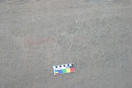 NMSA RSA SNW1 60D
