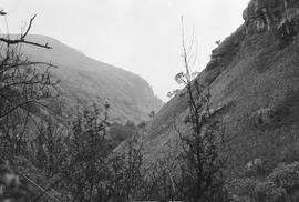 NMSA 03 3912P