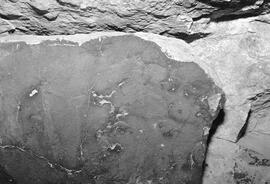 NMSA 03 8355P