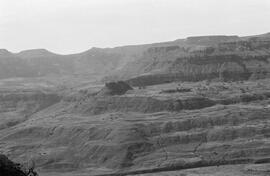 NMSA 03 3018P