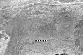 NMSA 03 1384P