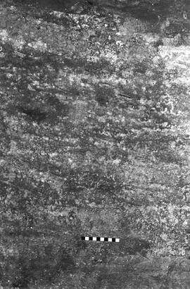 NMSA 03 6343P