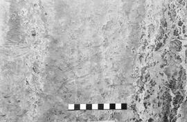 NMSA 03 1954P