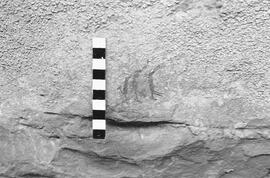 NMSA 03 1066P