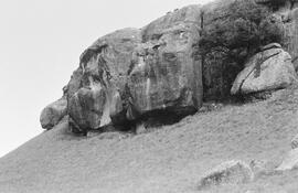 NMSA 03 4625P