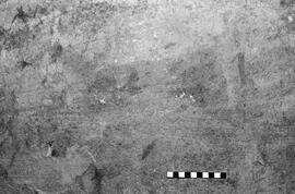 NMSA 03 6453P
