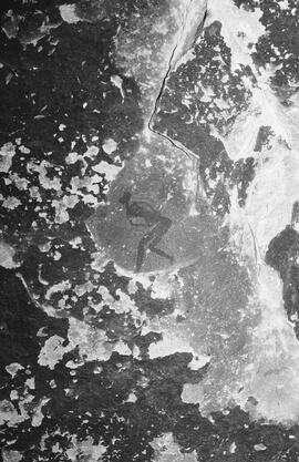 NMSA 03 8346P
