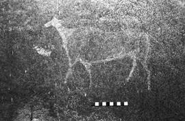 NMSA 03 4583P