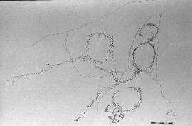 NMSA 03 8065P