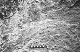 NMSA 03 1709P