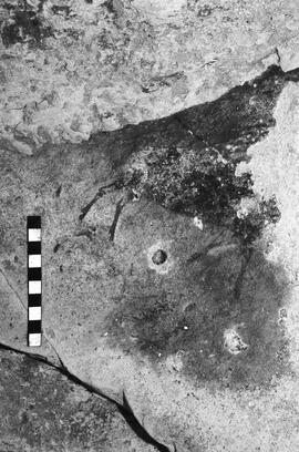 NMSA 03 4608P