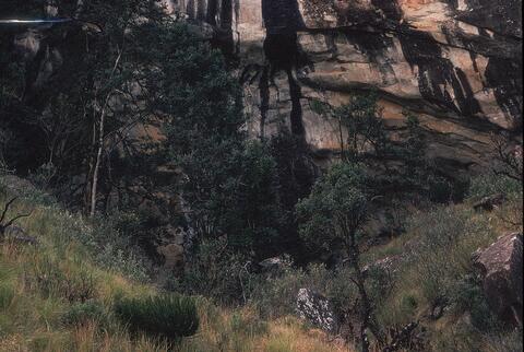 Open original Digitaal object