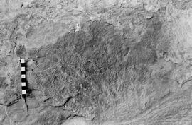 NMSA 03 4990P