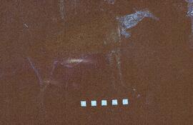 RSA LOM1 41