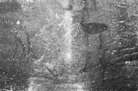 NMSA 03 365P