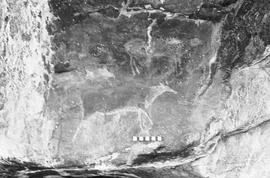 NMSA 03 320P
