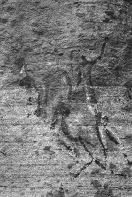 NMSA 03 8716P
