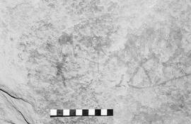 NMSA 03 1952P