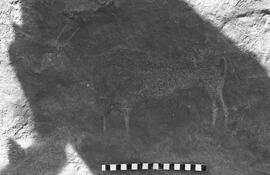 NMSA 03 6942N