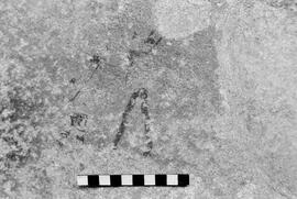 NMSA 03 4811P