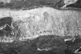 NMSA 03 1372P