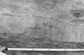 NMSA 03 203P