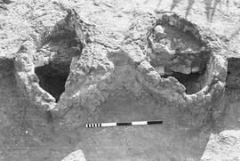 NMSA 03 596P