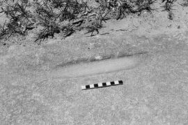 NMSA 03 8269P