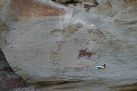 NMSA RSA KOP1 4D