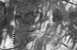 NMSA 03 2800P