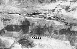 NMSA 03 821P