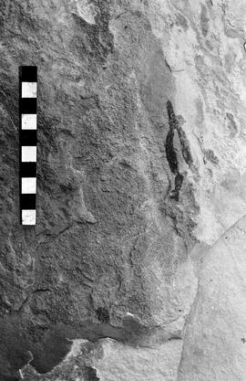 NMSA 03 4496P