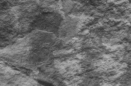 NMSA 03 940P