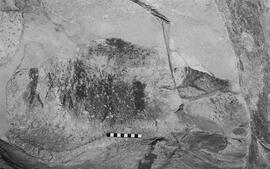 NMSA 03 5046P