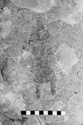 NMSA 03 6124P