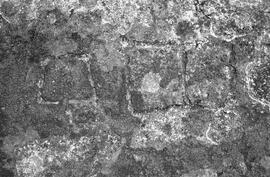 NMSA 03 8098P