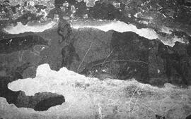NMSA 03 7426P