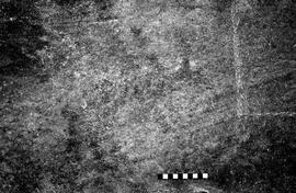 NMSA 03 3980P
