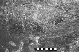 NMSA 03 6336P