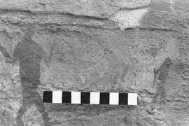 NMSA 03 1013P