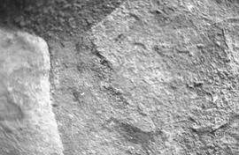 NMSA 03 1005P
