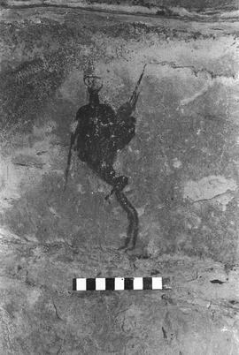 NMSA 03 1446P