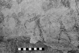 NMSA 03 5295P