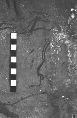 NMSA 03 2095P
