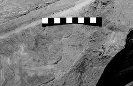NMSA 03 4035P