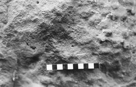 NMSA 03 1723P